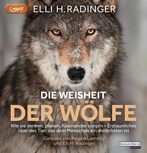 Die Weisheit der Wölfe: Wie sie denken, planen, füreinander sorgen. Erstaunliches über das Tier, das dem Menschen am ähnlichsten ist