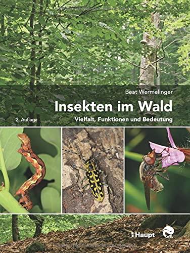 Insekten im Wald: Vielfalt, Funktionen und Bedeutung