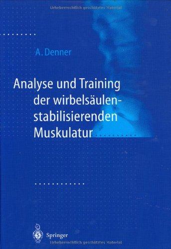 Analyse und Training der wirbelsäulenstabilisierenden Muskulatur