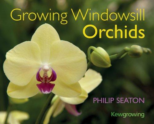 Growing Windowsill Orchids (Kew Growing)