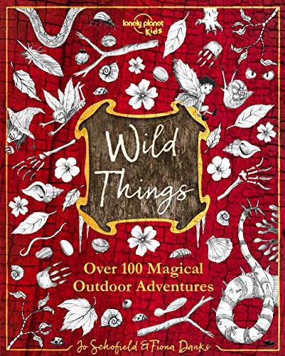 The Wild Things (Lonely Planet Kids)