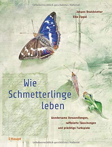 Wie Schmetterlinge leben: Wundersame Verwandlungen, raffinierte Täuschungen und prächtige Farbspiele