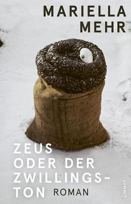 Zeus oder der Zwillingston: Roman