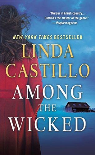 Among the Wicked (Kate Burkholder Novels)