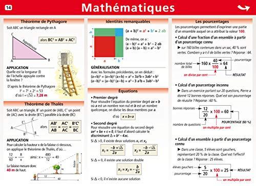 14.MATHEMATIQUES/SURFACES ET VOLUMES MINI POSTER LE PETIT NICOLAS