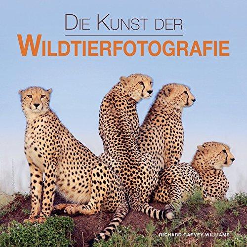 Die Kunst der Wildtierfotografie