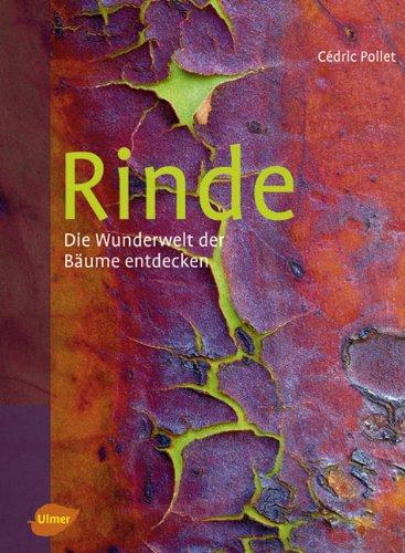 Rinde: Die Wunderwelt der Bäume entdecken