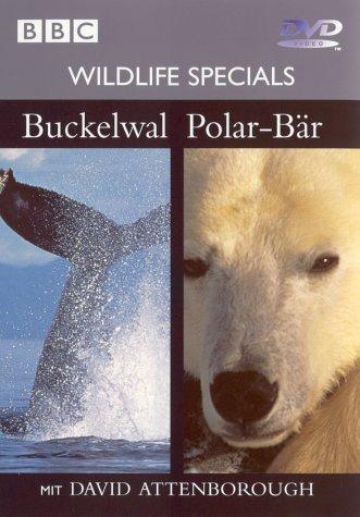 Wildlife Specials 04 - Buckelwahl / Polar-Bär