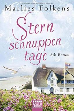 Sternschnuppentage: Sylt-Roman