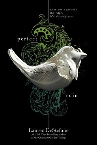 Perfect Ruin (The Internment Chronicles, Band 1)