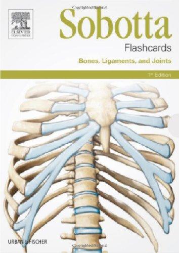 Sobotta Flashcards Bones, Ligaments, and Joints