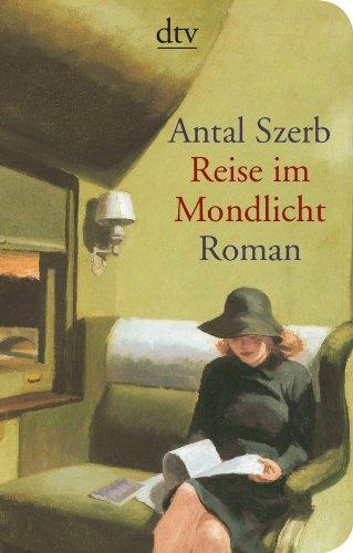 Reise im Mondlicht: Roman