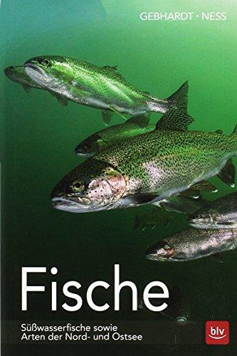 Fische: Süßwasserfische sowie Arten der Nord- und Ostsee