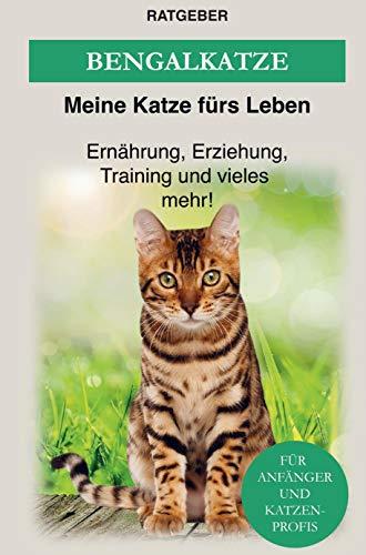 Bengalkatze: Erziehung, Ernährung und Pflege von Bengal Katzen