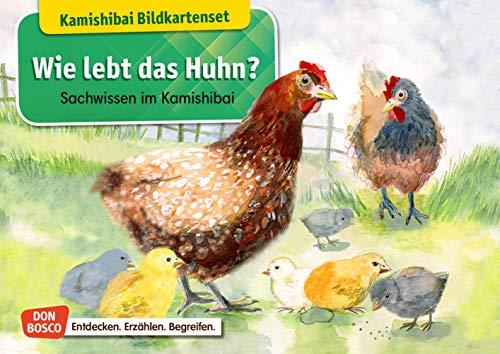 Wie lebt das Huhn? Kamishibai Bildkartenset. Entdecken - Erzählen - Begreifen: Sachwissen. (Sachwissen für das Kamishibai)