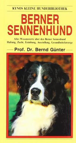 Berner Sennenhund