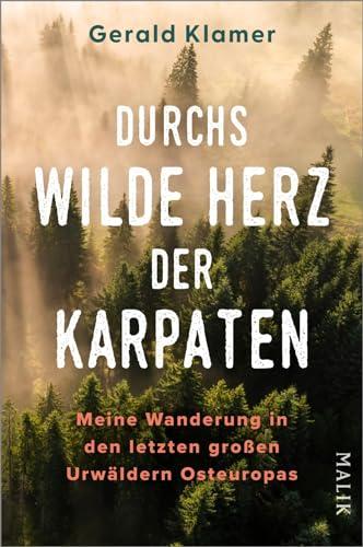 Durchs wilde Herz der Karpaten: Meine Wanderung in den letzten großen Urwäldern Osteuropas | Wanderungen im UNESCO-Weltnaturerbe Alte Buchenwälder