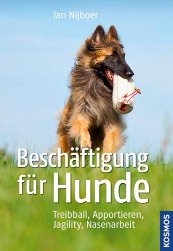 Beschäftigung für Hunde: Treibball, Apportieren, Nasenarbeit, Jagility: Treibball, Apportieren, Jagility, Nasenarbeit