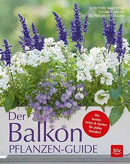 Der Balkonpflanzen-Guide: Die besten Arten & Sorten für jeden Standort