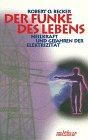 Der Funke des Lebens. Heilkraft und Gefahren der Elektrizität.