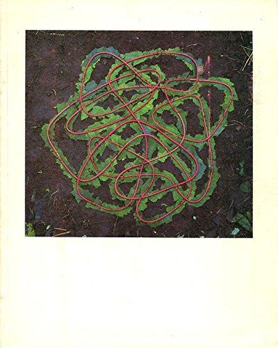 Rain, Sun, Snow, Hail, Mist, Calm: Photoworks By Andy Goldsworthy