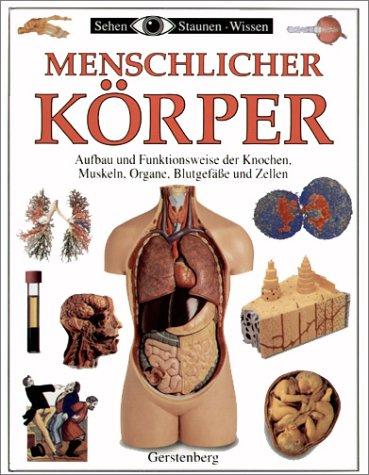 Menschlicher Körper. Ab 10 Jahre