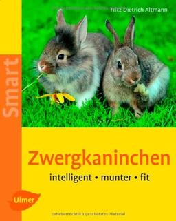 Zwergkaninchen. Heimtiere halten: intelligent - munter - fit