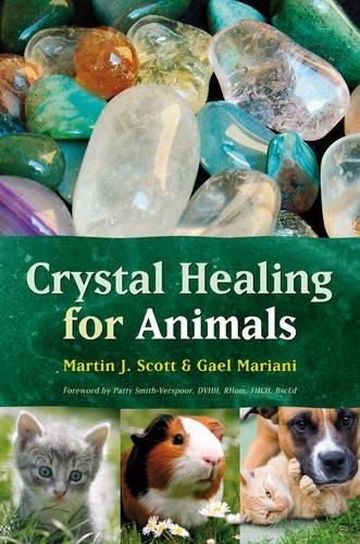 Crystal Healing for Animals (Raoul Wallenberg Institute of Human Rights Library)