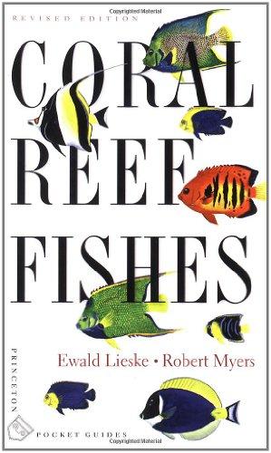 Coral Reef Fishes: Indo-Pacific and Caribbean (Princeton Pocket Guides)