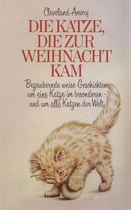 Die Katze die zur Weihnacht kam