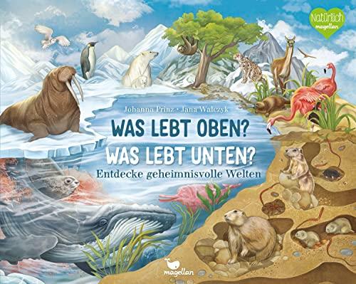 Was lebt oben? Was lebt unten?: Entdecke geheimnisvolle Welten