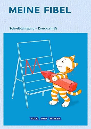 Meine Fibel - Ausgabe 2015: 1. Schuljahr - Schreiblehrgang in Druckschrift