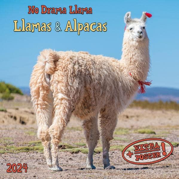 No Drama Llama 2024: Kalender 2024 (Artwork Edition)