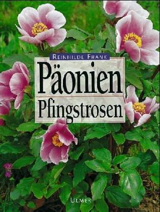 Päonien. Pfingstrosen