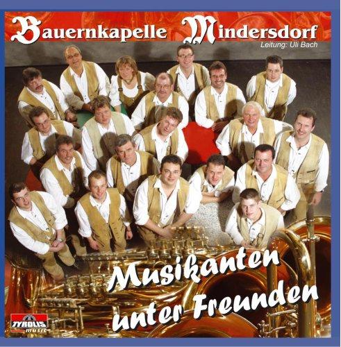 Musikanten unter Freunden