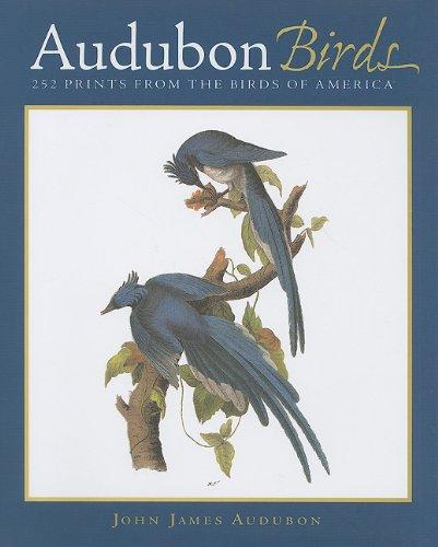 Audubon Birds: 252 Prints from the Birds of America