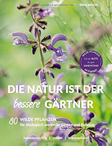 Die Natur ist der bessere Gärtner: 80 Wilde Pflanzen