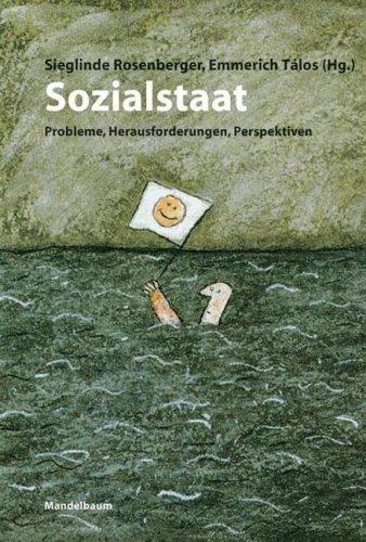 Sozialstaat. Probleme, Herausforderungen, Perspektiven