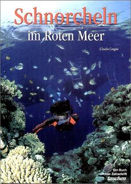 Schnorcheln im Roten Meer