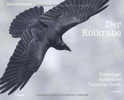 Der Kolkrabe – Totenvogel, Götterbote, tierisches Genie