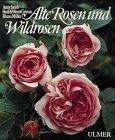 Alte Rosen und Wildrosen