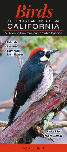 Birds of Central & Northern California: A Guide to Common & Notable Species (Common and Notable Species)