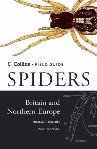 Spiders of Britain and Northern Europe (Collins Field Guide)