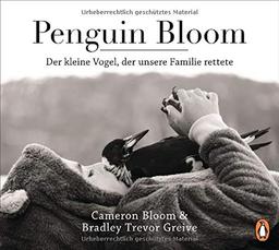 Penguin Bloom: Der kleine Vogel, der unsere Familie rettete