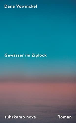 Gewässer im Ziplock: Roman | Ein Sommer zwischen Berlin, Chicago und Jerusalem | Ein mitreißendes, Kontinente umspannendes Porträt jüdischen Lebens heute