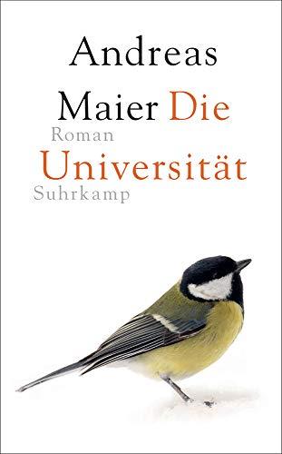 Die Universität: Roman (suhrkamp taschenbuch)