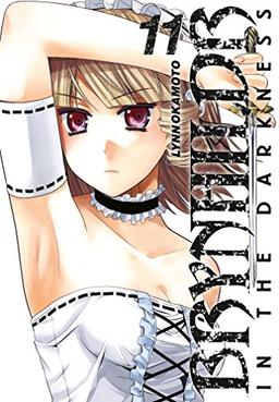 Brynhildr in the darkness. Vol. 11