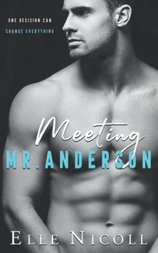 Meeting Mr Anderson (The Men Series - Interconnected Standalone Romances, Band 1)