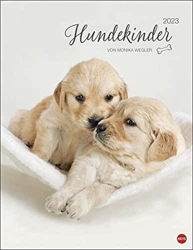 Hundekinder Posterkalender 2023 von Monika Wegler - niedlicher Tier-Wandkalender mit vielen Fotos und lustigen Mini-Geschichten - mit Monatskalendarium - 34 x 44 cm