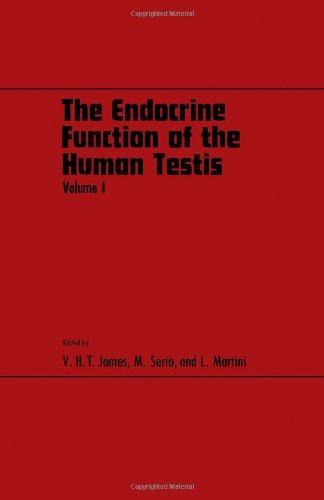 Endocrine Function of the Human Testis: v. 1